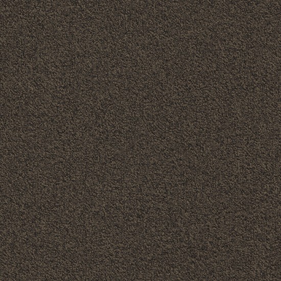  03 Millennium Nxtgen